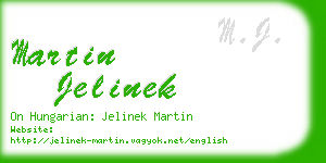 martin jelinek business card